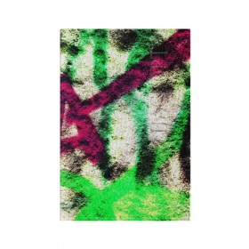 Обложка для паспорта матовая кожа с принтом Grunge color в Санкт-Петербурге, натуральная матовая кожа | размер 19,3 х 13,7 см; прозрачные пластиковые крепления | Тематика изображения на принте: граффити | стена