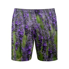 Мужские шорты 3D спортивные с принтом Лаванда в Санкт-Петербурге,  |  | зеленый | зелень | лаванда | лето | поле | природа | синий | цветы