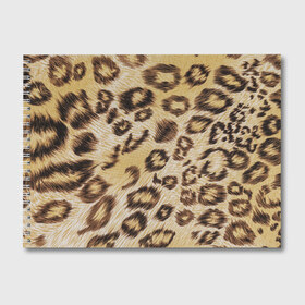 Альбом для рисования с принтом Леопардовая ткань в Санкт-Петербурге, 100% бумага
 | матовая бумага, плотность 200 мг. | гепард | гламур | леопард | мода | пятна | роскошь | ткань | точки | шерсть