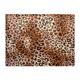 Обложка для студенческого билета с принтом Леопардовая шкура в Санкт-Петербурге, натуральная кожа | Размер: 11*8 см; Печать на всей внешней стороне | Тематика изображения на принте: гепард | гламур | леопард | мода | роскошь | шерсть