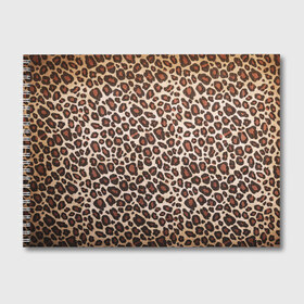Альбом для рисования с принтом Шкура гепарда в Санкт-Петербурге, 100% бумага
 | матовая бумага, плотность 200 мг. | гепард | гламур | леопард | мода | пятна | роскошь | ткань | точки | шерсть