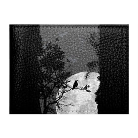 Обложка для студенческого билета с принтом Черный ворон в Санкт-Петербурге, натуральная кожа | Размер: 11*8 см; Печать на всей внешней стороне | Тематика изображения на принте: ворон | луна | новинки | ночь | полнолуние | природа | птица