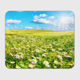 Коврик прямоугольный с принтом Ромашковый ковёр в Санкт-Петербурге, натуральный каучук | размер 230 х 185 мм; запечатка лицевой стороны | горизонт | зелень | небо | облака | поле | поляна | ромашки | солнце | цветы