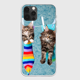 Чехол для iPhone 12 Pro с принтом Мейн-кун 1 в Санкт-Петербурге, силикон | область печати: задняя сторона чехла, без боковых панелей | кот | котенок | котик | котэ | кошка | мейн кун | мейнкун | мэйн кун | мэйнкун
