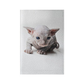 Обложка для паспорта матовая кожа с принтом Сфинкс 1 в Санкт-Петербурге, натуральная матовая кожа | размер 19,3 х 13,7 см; прозрачные пластиковые крепления | Тематика изображения на принте: кот | котенок | котик | котэ | кошка | сфинкс