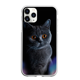 Чехол для iPhone 11 Pro матовый с принтом Британец 1 в Санкт-Петербурге, Силикон |  | британец | британская | британцы | кот | котенок | котик | котэ | кошка