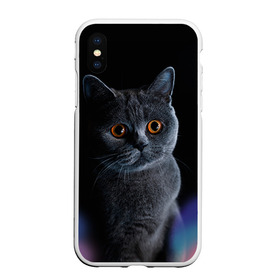 Чехол для iPhone XS Max матовый с принтом Британец 1 в Санкт-Петербурге, Силикон | Область печати: задняя сторона чехла, без боковых панелей | британец | британская | британцы | кот | котенок | котик | котэ | кошка