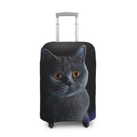 Чехол для чемодана 3D с принтом Британец 1 в Санкт-Петербурге, 86% полиэфир, 14% спандекс | двустороннее нанесение принта, прорези для ручек и колес | Тематика изображения на принте: британец | британская | британцы | кот | котенок | котик | котэ | кошка
