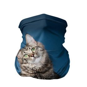 Бандана-труба 3D с принтом Мейн-кун 2 в Санкт-Петербурге, 100% полиэстер, ткань с особыми свойствами — Activecool | плотность 150‒180 г/м2; хорошо тянется, но сохраняет форму | кот | котенок | котик | котэ | кошка | мейн кун | мейнкун | мэйн кун | мэйнкун
