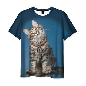 Мужская футболка 3D с принтом Мейн-кун 2 в Санкт-Петербурге, 100% полиэфир | прямой крой, круглый вырез горловины, длина до линии бедер | кот | котенок | котик | котэ | кошка | мейн кун | мейнкун | мэйн кун | мэйнкун
