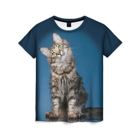 Женская футболка 3D с принтом Мейн-кун 2 в Санкт-Петербурге, 100% полиэфир ( синтетическое хлопкоподобное полотно) | прямой крой, круглый вырез горловины, длина до линии бедер | кот | котенок | котик | котэ | кошка | мейн кун | мейнкун | мэйн кун | мэйнкун