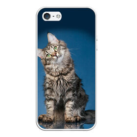 Чехол для iPhone 5/5S матовый с принтом Мейн-кун 2 в Санкт-Петербурге, Силикон | Область печати: задняя сторона чехла, без боковых панелей | кот | котенок | котик | котэ | кошка | мейн кун | мейнкун | мэйн кун | мэйнкун