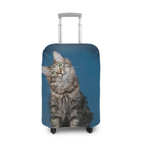 Чехол для чемодана 3D с принтом Мейн-кун 2 в Санкт-Петербурге, 86% полиэфир, 14% спандекс | двустороннее нанесение принта, прорези для ручек и колес | кот | котенок | котик | котэ | кошка | мейн кун | мейнкун | мэйн кун | мэйнкун