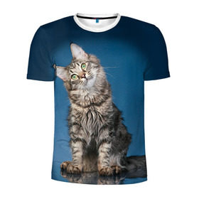Мужская футболка 3D спортивная с принтом Мейн-кун 2 в Санкт-Петербурге, 100% полиэстер с улучшенными характеристиками | приталенный силуэт, круглая горловина, широкие плечи, сужается к линии бедра | кот | котенок | котик | котэ | кошка | мейн кун | мейнкун | мэйн кун | мэйнкун