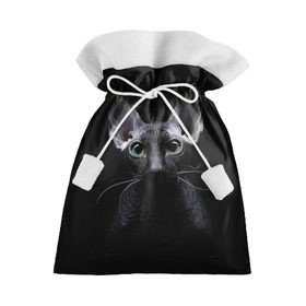 Подарочный 3D мешок с принтом Сфинкс 2 в Санкт-Петербурге, 100% полиэстер | Размер: 29*39 см | Тематика изображения на принте: кот | котенок | котик | котэ | кошка | сфинкс