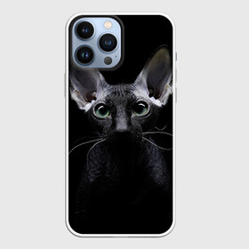 Чехол для iPhone 13 Pro Max с принтом Сфинкс 2 в Санкт-Петербурге,  |  | кот | котенок | котик | котэ | кошка | сфинкс