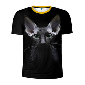 Мужская футболка 3D спортивная с принтом Сфинкс 2 в Санкт-Петербурге, 100% полиэстер с улучшенными характеристиками | приталенный силуэт, круглая горловина, широкие плечи, сужается к линии бедра | Тематика изображения на принте: кот | котенок | котик | котэ | кошка | сфинкс