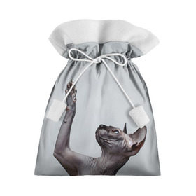 Подарочный 3D мешок с принтом Сфинкс 3 в Санкт-Петербурге, 100% полиэстер | Размер: 29*39 см | Тематика изображения на принте: кот | котенок | котик | котэ | кошка | сфинкс