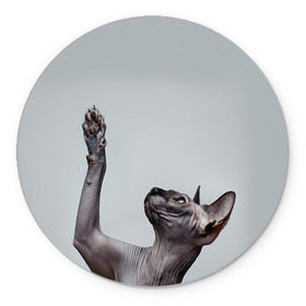 Коврик круглый с принтом Сфинкс 3 в Санкт-Петербурге, резина и полиэстер | круглая форма, изображение наносится на всю лицевую часть | Тематика изображения на принте: кот | котенок | котик | котэ | кошка | сфинкс