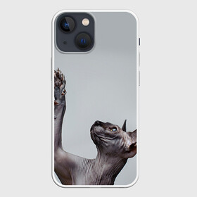 Чехол для iPhone 13 mini с принтом Сфинкс 3 в Санкт-Петербурге,  |  | кот | котенок | котик | котэ | кошка | сфинкс