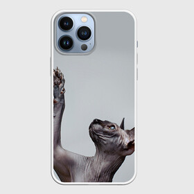 Чехол для iPhone 13 Pro Max с принтом Сфинкс 3 в Санкт-Петербурге,  |  | кот | котенок | котик | котэ | кошка | сфинкс