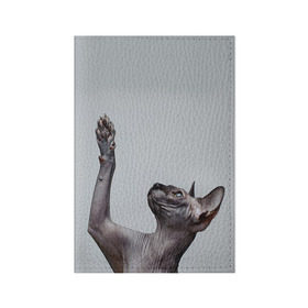 Обложка для паспорта матовая кожа с принтом Сфинкс 3 в Санкт-Петербурге, натуральная матовая кожа | размер 19,3 х 13,7 см; прозрачные пластиковые крепления | кот | котенок | котик | котэ | кошка | сфинкс