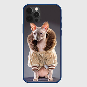 Чехол для iPhone 12 Pro с принтом Сфинкс 4 в Санкт-Петербурге, силикон | область печати: задняя сторона чехла, без боковых панелей | кот | котенок | котик | котэ | кошка | сфинкс