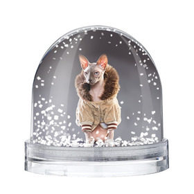 Снежный шар с принтом Сфинкс 4 в Санкт-Петербурге, Пластик | Изображение внутри шара печатается на глянцевой фотобумаге с двух сторон | кот | котенок | котик | котэ | кошка | сфинкс