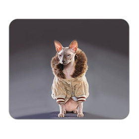Коврик прямоугольный с принтом Сфинкс 4 в Санкт-Петербурге, натуральный каучук | размер 230 х 185 мм; запечатка лицевой стороны | Тематика изображения на принте: кот | котенок | котик | котэ | кошка | сфинкс