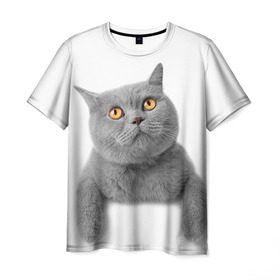 Мужская футболка 3D с принтом Британец 2 в Санкт-Петербурге, 100% полиэфир | прямой крой, круглый вырез горловины, длина до линии бедер | британец | британская | британцы | кот | котенок | котик | котэ | кошка