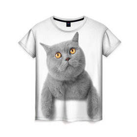 Женская футболка 3D с принтом Британец 2 в Санкт-Петербурге, 100% полиэфир ( синтетическое хлопкоподобное полотно) | прямой крой, круглый вырез горловины, длина до линии бедер | британец | британская | британцы | кот | котенок | котик | котэ | кошка