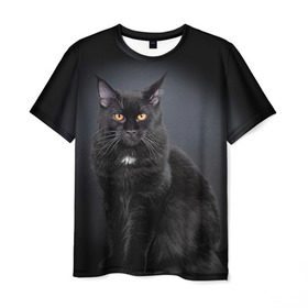 Мужская футболка 3D с принтом Мейн-кун 3 в Санкт-Петербурге, 100% полиэфир | прямой крой, круглый вырез горловины, длина до линии бедер | кот | котенок | котик | котэ | кошка | мейн кун | мейнкун | мэйн кун | мэйнкун