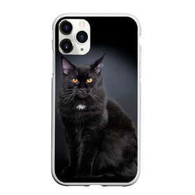 Чехол для iPhone 11 Pro матовый с принтом Мейн-кун 3 в Санкт-Петербурге, Силикон |  | Тематика изображения на принте: кот | котенок | котик | котэ | кошка | мейн кун | мейнкун | мэйн кун | мэйнкун