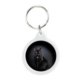 Брелок круглый с принтом Мейн-кун 3 в Санкт-Петербурге, пластик и полированная сталь | круглая форма, металлическое крепление в виде кольца | Тематика изображения на принте: кот | котенок | котик | котэ | кошка | мейн кун | мейнкун | мэйн кун | мэйнкун