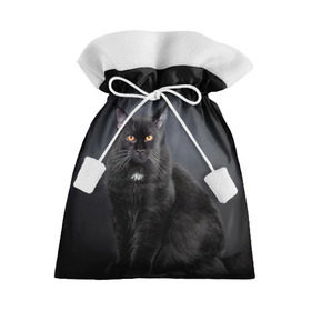 Подарочный 3D мешок с принтом Мейн-кун 3 в Санкт-Петербурге, 100% полиэстер | Размер: 29*39 см | кот | котенок | котик | котэ | кошка | мейн кун | мейнкун | мэйн кун | мэйнкун