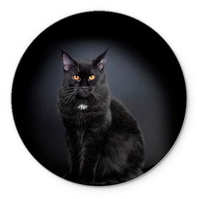 Коврик круглый с принтом Мейн-кун 3 в Санкт-Петербурге, резина и полиэстер | круглая форма, изображение наносится на всю лицевую часть | Тематика изображения на принте: кот | котенок | котик | котэ | кошка | мейн кун | мейнкун | мэйн кун | мэйнкун