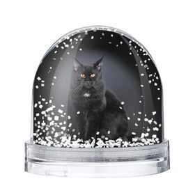 Снежный шар с принтом Мейн-кун 3 в Санкт-Петербурге, Пластик | Изображение внутри шара печатается на глянцевой фотобумаге с двух сторон | кот | котенок | котик | котэ | кошка | мейн кун | мейнкун | мэйн кун | мэйнкун