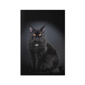 Обложка для паспорта матовая кожа с принтом Мейн-кун 3 в Санкт-Петербурге, натуральная матовая кожа | размер 19,3 х 13,7 см; прозрачные пластиковые крепления | Тематика изображения на принте: кот | котенок | котик | котэ | кошка | мейн кун | мейнкун | мэйн кун | мэйнкун