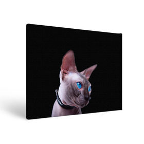 Холст прямоугольный с принтом Сфинкс 6 в Санкт-Петербурге, 100% ПВХ |  | Тематика изображения на принте: кот | котенок | котик | котэ | кошка | сфинкс