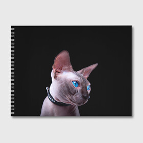 Альбом для рисования с принтом Сфинкс 6 в Санкт-Петербурге, 100% бумага
 | матовая бумага, плотность 200 мг. | кот | котенок | котик | котэ | кошка | сфинкс