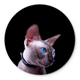 Коврик круглый с принтом Сфинкс 6 в Санкт-Петербурге, резина и полиэстер | круглая форма, изображение наносится на всю лицевую часть | кот | котенок | котик | котэ | кошка | сфинкс
