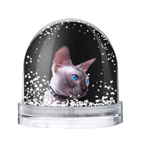 Снежный шар с принтом Сфинкс 6 в Санкт-Петербурге, Пластик | Изображение внутри шара печатается на глянцевой фотобумаге с двух сторон | кот | котенок | котик | котэ | кошка | сфинкс