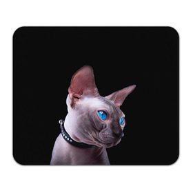 Коврик прямоугольный с принтом Сфинкс 6 в Санкт-Петербурге, натуральный каучук | размер 230 х 185 мм; запечатка лицевой стороны | кот | котенок | котик | котэ | кошка | сфинкс