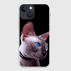 Чехол для iPhone 13 mini с принтом Сфинкс 6 в Санкт-Петербурге,  |  | кот | котенок | котик | котэ | кошка | сфинкс