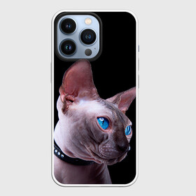 Чехол для iPhone 13 Pro с принтом Сфинкс 6 в Санкт-Петербурге,  |  | кот | котенок | котик | котэ | кошка | сфинкс