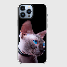 Чехол для iPhone 13 Pro Max с принтом Сфинкс 6 в Санкт-Петербурге,  |  | кот | котенок | котик | котэ | кошка | сфинкс