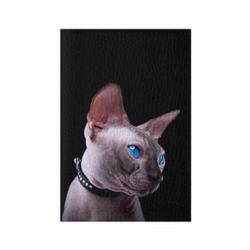 Обложка для паспорта матовая кожа с принтом Сфинкс 6 в Санкт-Петербурге, натуральная матовая кожа | размер 19,3 х 13,7 см; прозрачные пластиковые крепления | Тематика изображения на принте: кот | котенок | котик | котэ | кошка | сфинкс