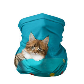 Бандана-труба 3D с принтом Мейн-кун 4 в Санкт-Петербурге, 100% полиэстер, ткань с особыми свойствами — Activecool | плотность 150‒180 г/м2; хорошо тянется, но сохраняет форму | кот | котенок | котик | котэ | кошка | мейн кун | мейнкун | мэйн кун | мэйнкун