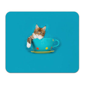 Коврик прямоугольный с принтом Мейн-кун 4 в Санкт-Петербурге, натуральный каучук | размер 230 х 185 мм; запечатка лицевой стороны | Тематика изображения на принте: кот | котенок | котик | котэ | кошка | мейн кун | мейнкун | мэйн кун | мэйнкун