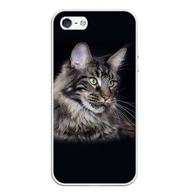 Чехол для iPhone 5/5S матовый с принтом Мейн-кун 5 в Санкт-Петербурге, Силикон | Область печати: задняя сторона чехла, без боковых панелей | кот | котенок | котик | котэ | кошка | мейн кун | мейнкун | мэйн кун | мэйнкун